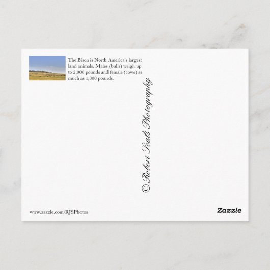 サウスダコタ ポストカード (裏面)