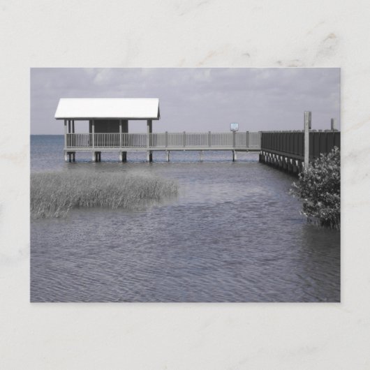 サウスパドレ ポストカード (正面)