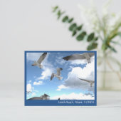 サウスビーチマイアミフロリダシーグルスポストカード ポストカード (スタンド正面)