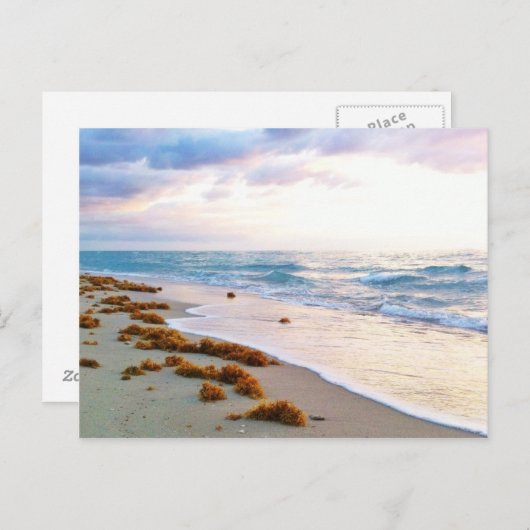 サウスビーチマイアミ ポストカード (正面/裏面)