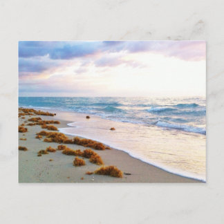 サウスビーチマイアミ ポストカード