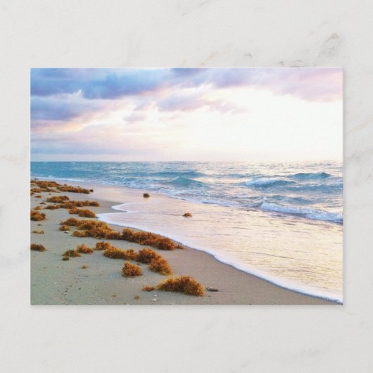 サウスビーチマイアミ ポストカード (正面)