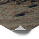 サウスビーチ ポスター (角)