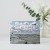 サウスヘイブン桟橋のポストカード ポストカード (スタンド正面)