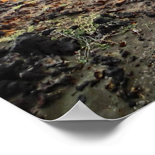 サウスポイントハワイのジープの冒険オフロードポスター ポスター (角)