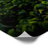 サウスマウイビーチアットサンセット |マウイ，ハワイ ポスター (角)