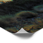 サウスメスキートベイアットサンセット ポスター (角)