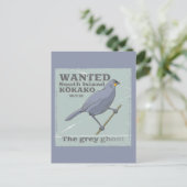 サウス島こかこ ポストカード (スタンド正面)