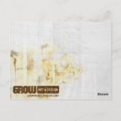 サウス通り ポストカード (裏面)