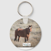 サウス・スティーンズの馬 キーホルダー (正面)