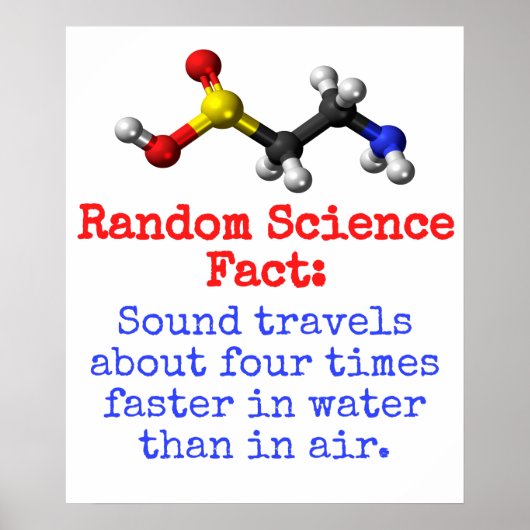 サウンドが約4倍速く移動 – 科学Fa ポスター (正面)