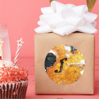 サウンドアート：チェロ ラウンドシール