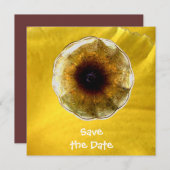 サウンド・オブ・ミュージック 招待状 (正面/裏面)