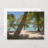 サオナアイランドドミニカ共和国のポストカード ポストカード (正面/裏面)