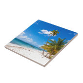 サオナドミニカ共和国のビーチ タイル (側面)