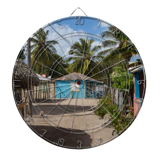 サオナドメニカン共和国のマノフアン村 ダーツボード (正面)