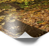 サカタシンギングヒルズ州トレイルフォトプリント フォトプリント            (角)