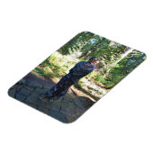 サカワイア像、フォートクラトソップ、アストリア、オレゴン マグネット (左側)