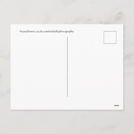 サギの優雅なホリデーシーズン シーズンポストカード (裏面)