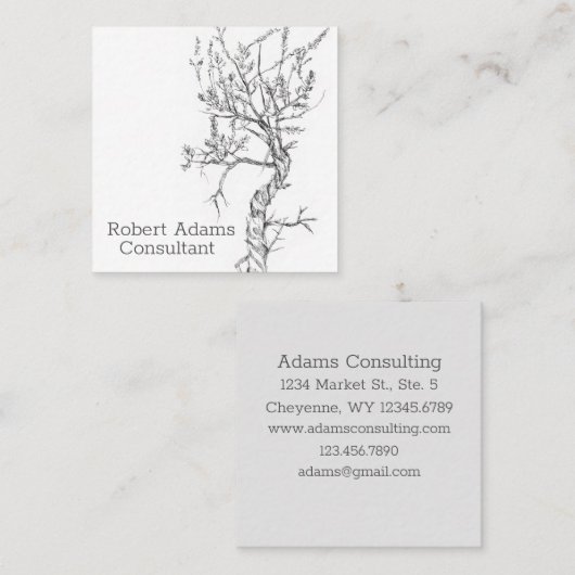 サギブラシ植物用ペン及びインク白黒植物学 スクエア名刺 (正面/裏面)