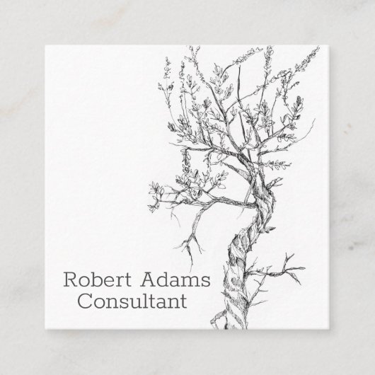 サギブラシ植物用ペン及びインク白黒植物学 スクエア名刺 (正面)