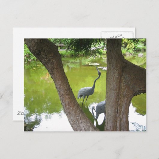 サギ ポストカード (正面/裏面)