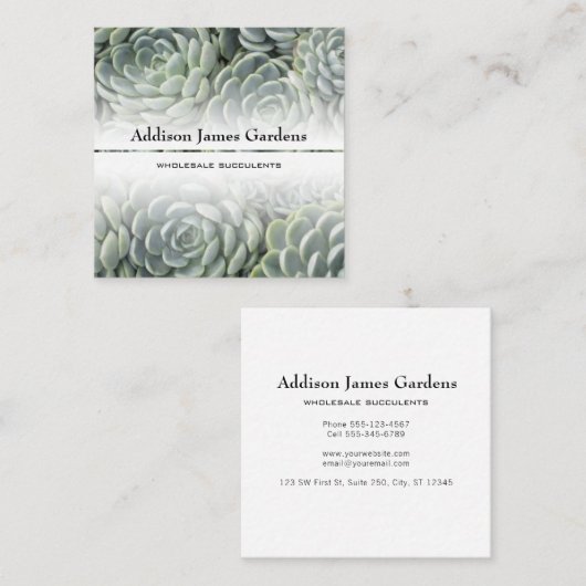 サククレンモダントガーデン子供部屋グリーン植物学 スクエア名刺 (正面/裏面)
