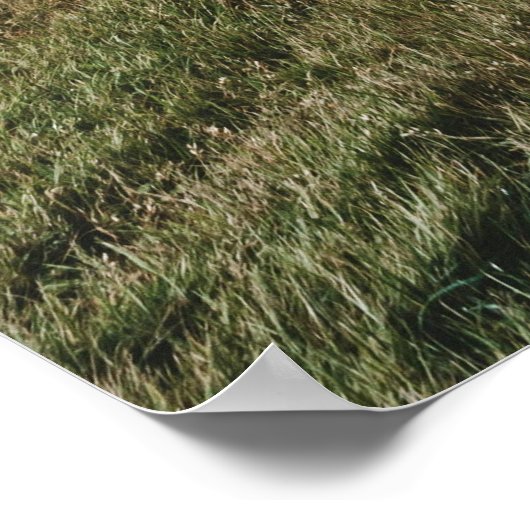 サクサン諸島 ポスター (角)