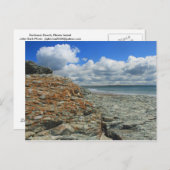 サクストビーチニューポートミドルタウン ポストカード (正面/裏面)