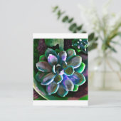 サクス ポストカード (スタンド正面)