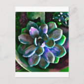 サクス ポストカード (正面)