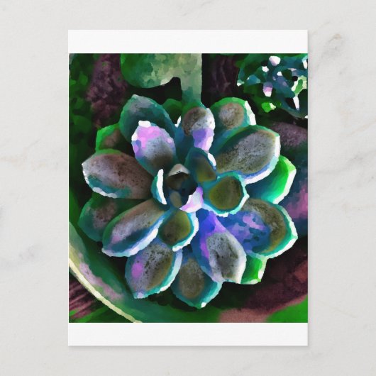 サクス ポストカード (正面)