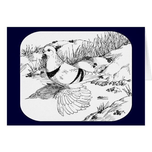 サクソン三日月鳩1973 (正面横)