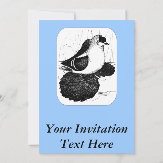 サクソン・スワロー・ピジョン1978 招待状 (正面)