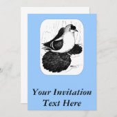 サクソン・スワロー・ピジョン1978 招待状 (正面/裏面)