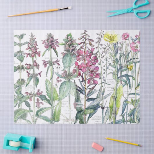 サクラソウ猫耳の花の野生の花のティッシュペーパー 薄葉紙 (クラフト)