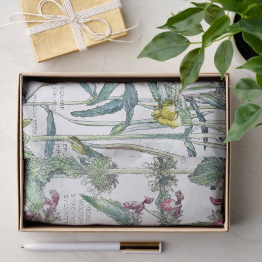 サクラソウ猫耳の花の野生の花のティッシュペーパー 薄葉紙 (ギフト)