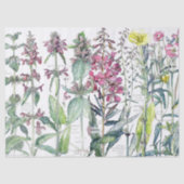 サクラソウ猫耳の花の野生の花のティッシュペーパー 薄葉紙 (正面)