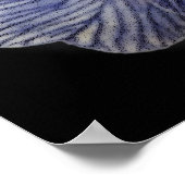 サクラソウ花 ポスター (角)