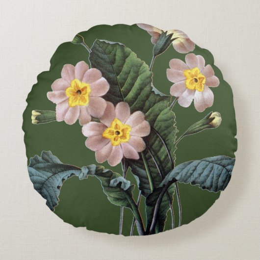 サクラソウ(サクラソウ属Aucalis) ラウンドクッション (正面)