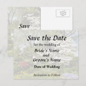 サクラドリが咲く季節 案内ポストカード (正面/裏面)