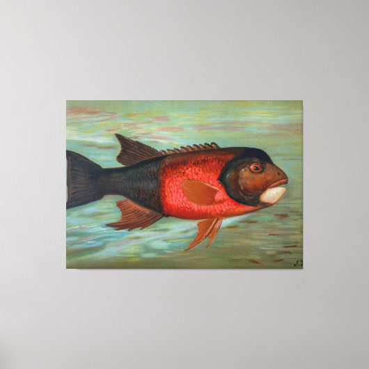 サクラメントパイクバイジョン・L・ペトリー キャンバスプリント (正面)