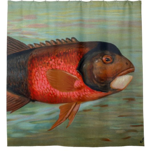 サクラメントパイクバイジョン・L・ペトリー シャワーカーテン (正面)