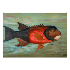 サクラメントパイクバイジョン・L・ペトリー フォトプリント           