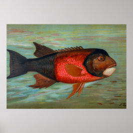 サクラメントパイクバイジョン・L・ペトリー ポスター