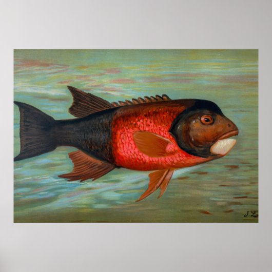 サクラメントパイクバイジョン・L・ペトリー ポスター (正面)