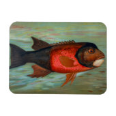 サクラメントパイクバイジョン・L・ペトリー マグネット (横)