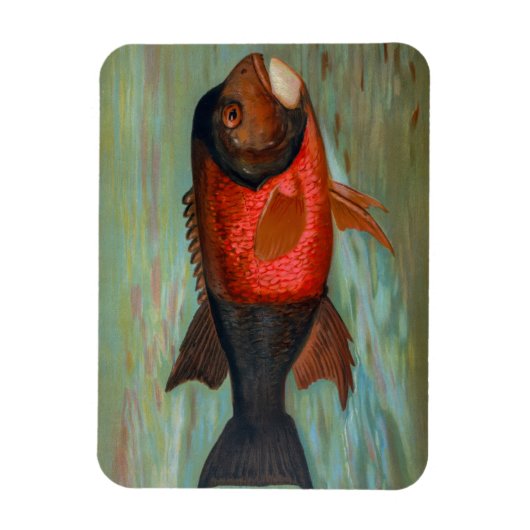 サクラメントパイクバイジョン・L・ペトリー マグネット (縦)