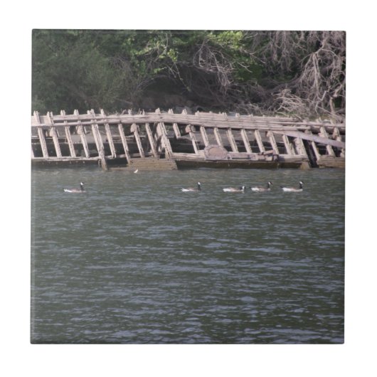 サクラメント川セラミックタイル タイル (正面)