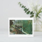 サクラメント川沿いの風光明媚な鉄道 ポストカード (スタンド正面)